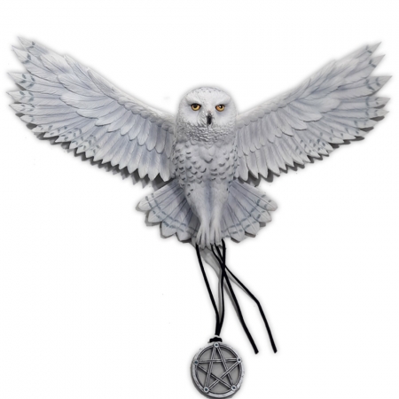 Coruja Desperte sua Mágica By Veronese