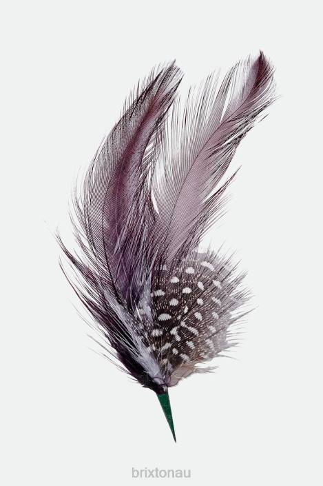 Accessories Multi Brixton 0FDH347 Unisex Thomas Hat Feather