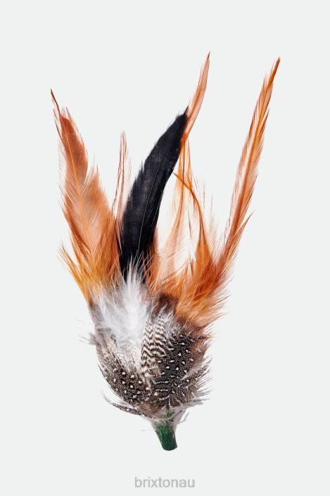 Accessories Multi Brixton 0FDH352 Unisex Kevin Hat Feather